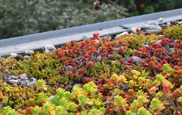 the cost of Frithville green roof installation