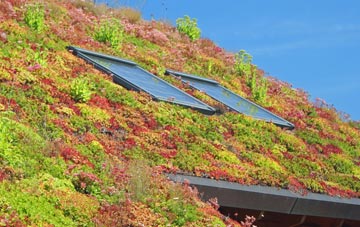 Frithville living roof systems