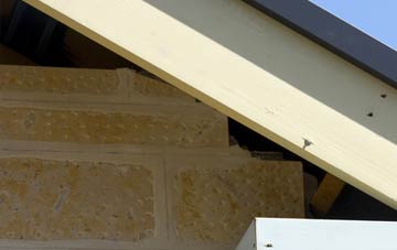 soffit repair Frithville
